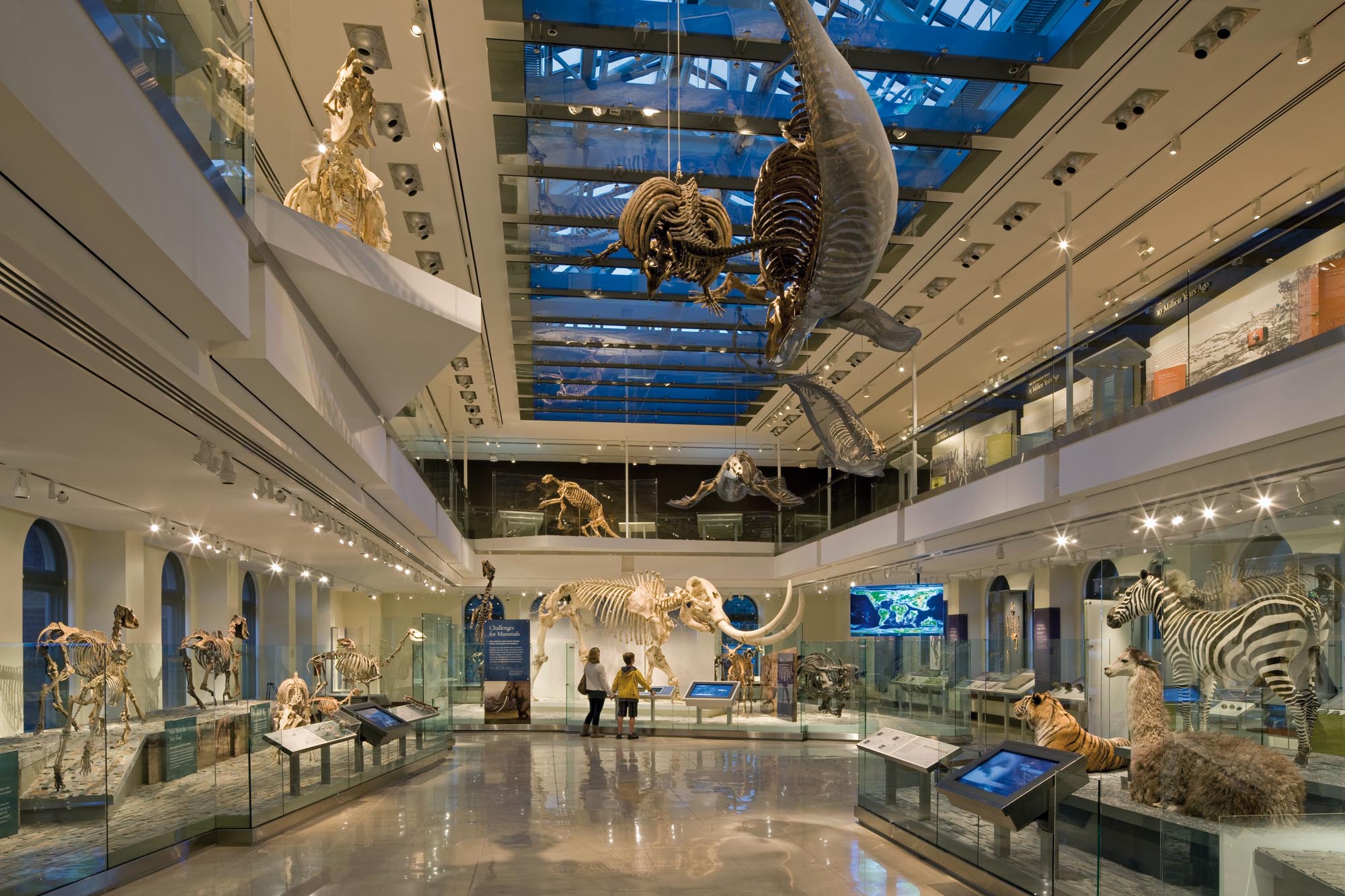 museum of natural history